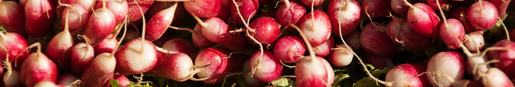 Radishes, Cours Saleya, Nice