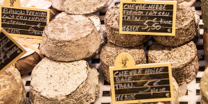 Selection of Cheeses